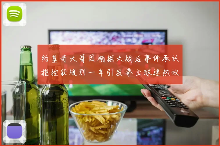 约基奇大哥因湖掘大战后事件承认指控获缓刑一年引发拳击球迷热议