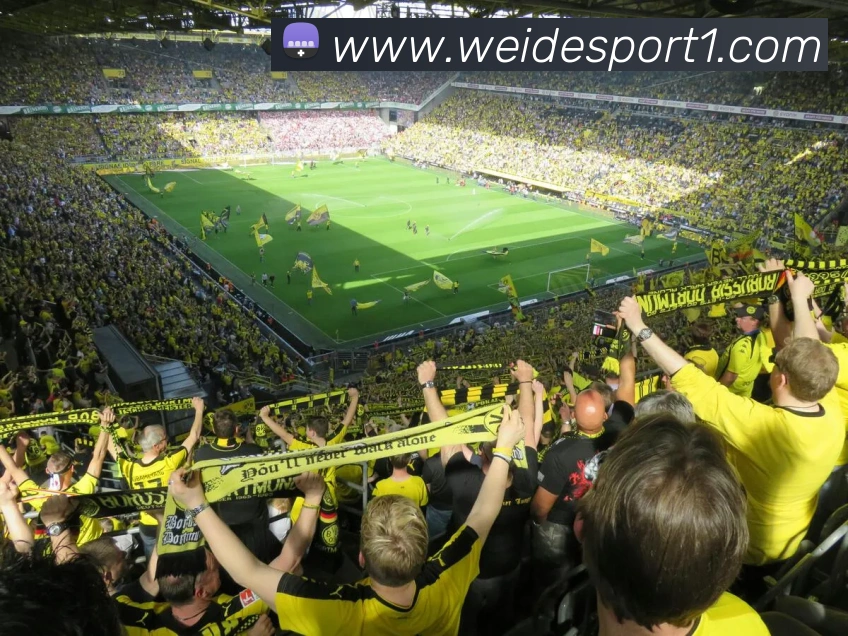 伟德体育发展历程